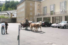 fiakerfahrer