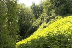 resthof_11