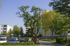 resthof_22