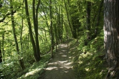 resthof_9