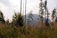 gruenberg_2006_051