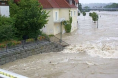 hochw_2009_19