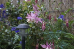 dsc03290