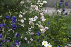 dsc03304