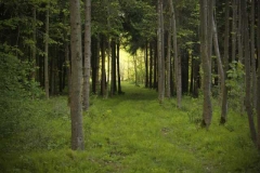 licht_am_ende