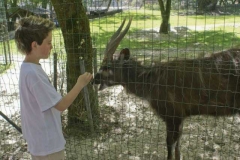 michi_und_antilope_2