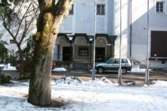 steyr_3