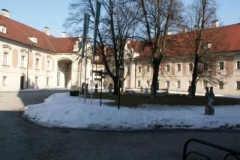 steyr_39