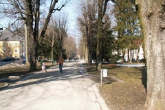 steyr_51