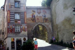steyr_69