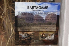 bartagame_info