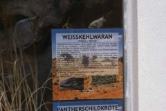weisskehlwaran_info